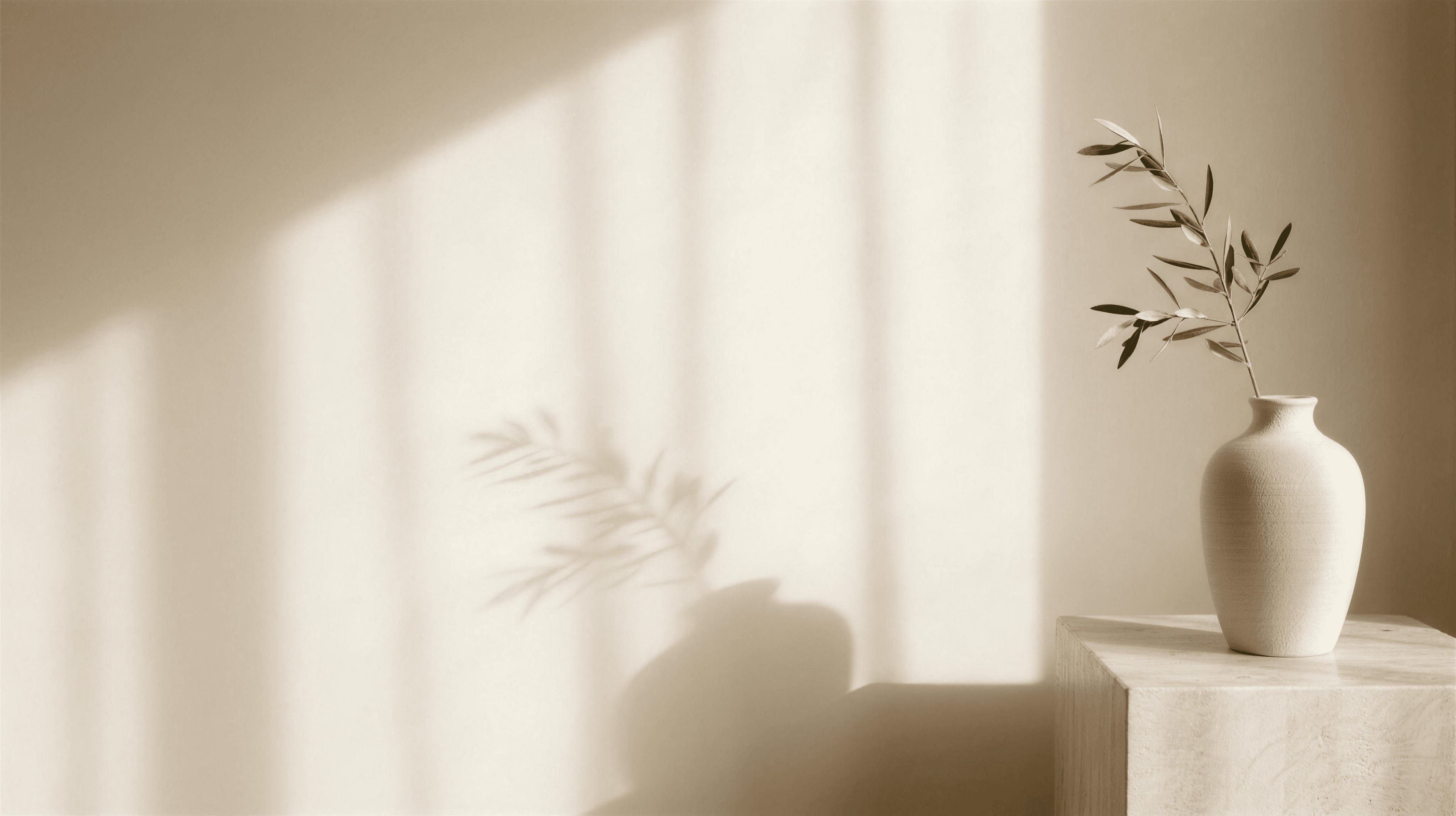 A cream ceramic vase holding an olive branch on a travertine ledge, warm morning light casting soft shadows across a plaster wall.